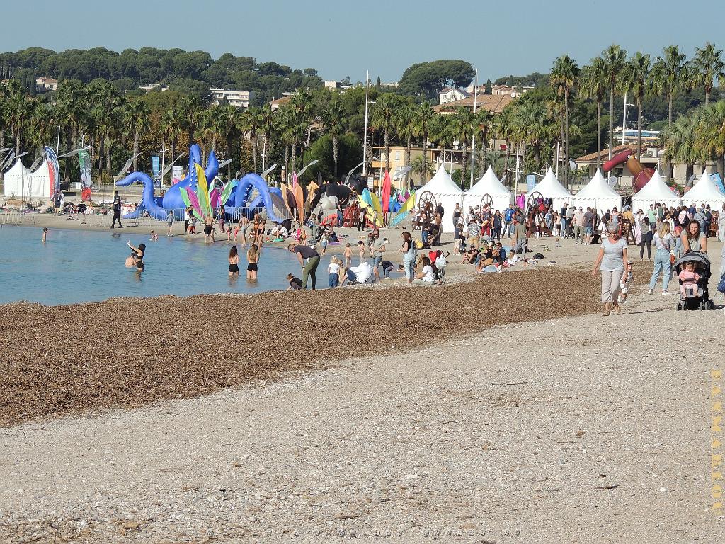 2024 11 02 EN FLANANT SUR SANARY (2).jpg
